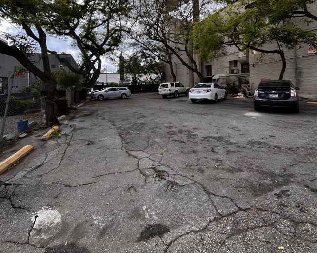 The image shows a cracked parking lot surrounded by trees, with several parked cars and a partially visible building in the background.