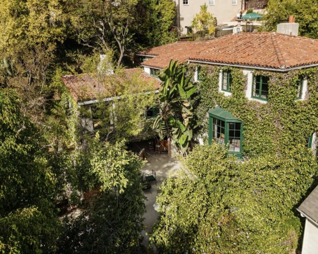 A two-story house covered in green ivy features a terracotta tile roof and surrounded by trees and foliage.