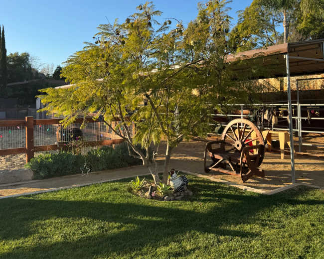 carousel