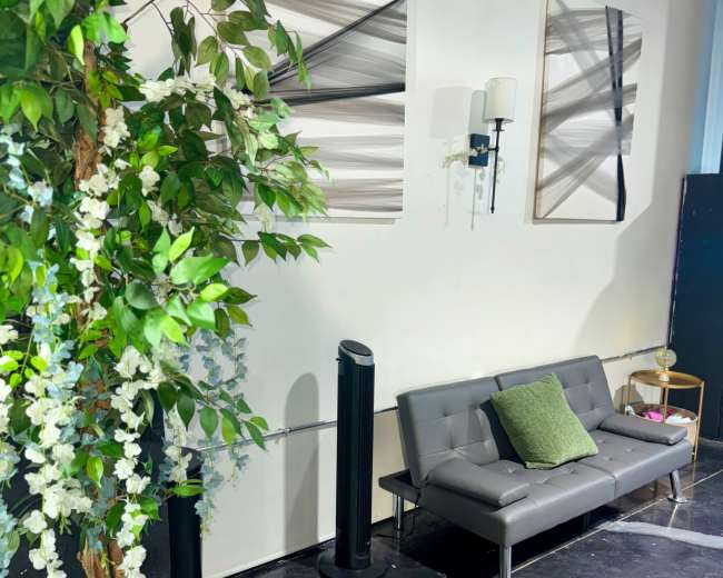 The image shows a modern lounge area with a gray sofa, green accent pillow, decorative artificial plant, and abstract artwork on the wall.