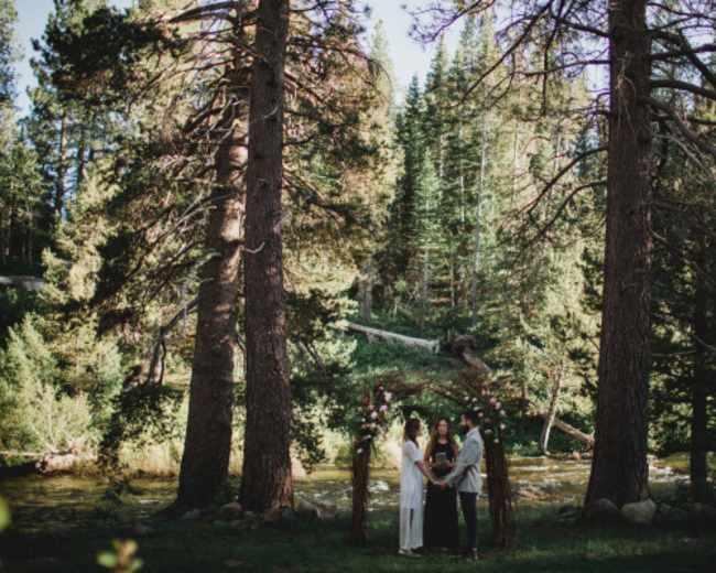A couple stands inside a decorated archway by a river, while a person officiates their wedding amid tall trees.