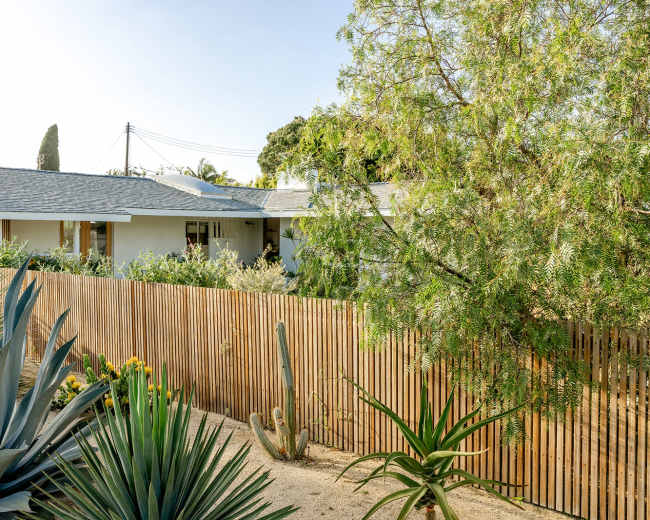 A single-story house with a gray roof is surrounded by fencing and various plants, including large succulents and shrubs.