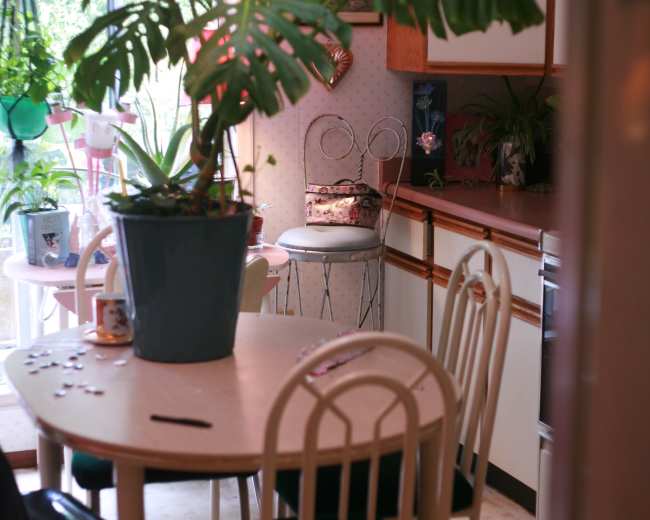 A kitchen features a round table surrounded by chairs and a large potted plant in the center.