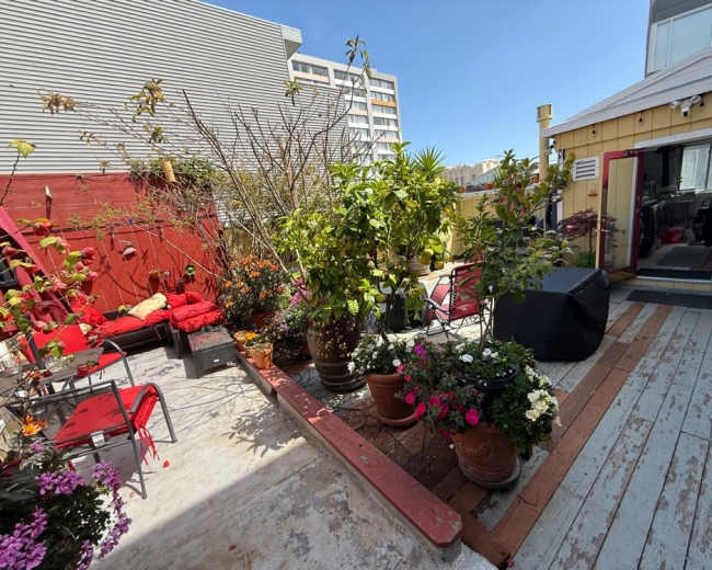 The image shows a rooftop garden with various potted plants and seating areas, surrounded by a wooden deck and a building in the background.
