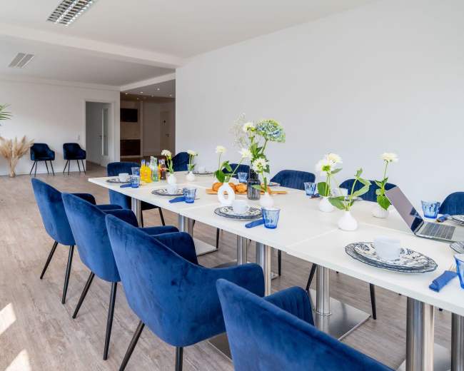 A long white dining table is set with blue chairs, decorative plates, and fresh flowers in a bright, modern room.