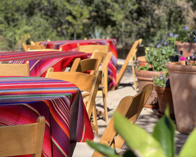 The image shows a vibrant outdoor setting featuring tables covered with striped tablecloths and wooden chairs arranged around them, alongside potted plants.