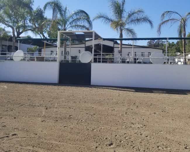 The image shows a sandy equestrian arena with a white wall and palm trees in the background, adjacent to a building.