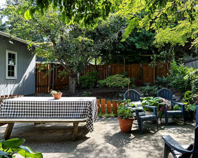 A wooden table with a checkered tablecloth is set in a garden surrounded by chairs, plants, and trees.