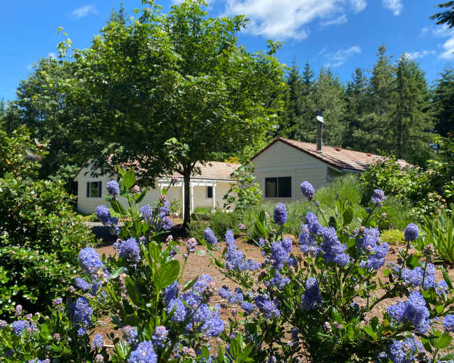 A house is framed by blooming blue flowers in a garden, with lush green trees and a clear sky in the background.