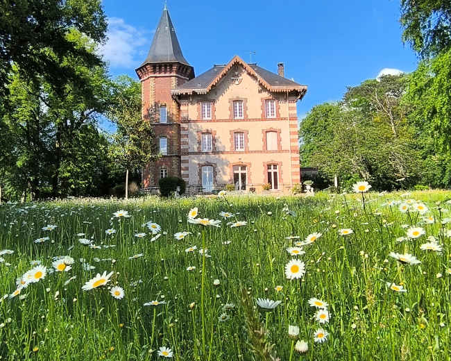 A large brick house with a tall spire stands amidst a field of wildflowers and green grass under a clear blue sky.
