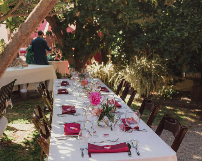 A long, elegantly set dining table with glasses and napkins is arranged under a tree in a garden setting.