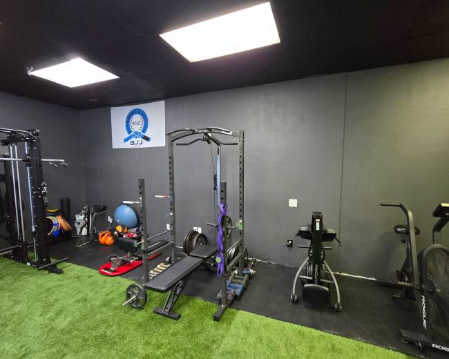 The image shows a fitness room featuring various gym equipment, including a weight rack, a rowing machine, and exercise balls, on a green turf floor with a logo on the wall.
