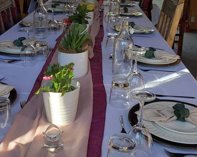 A long dining table is set with glassware and place settings, adorned with a pink table runner and potted plants, against a backdrop of large windows showing a garden.
