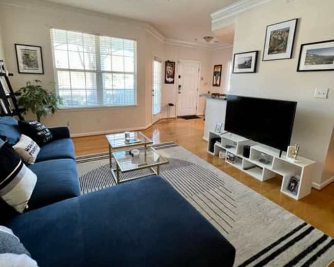 A spacious living room features a blue couch, a coffee table, and a television on a white stand, with large windows allowing natural light.