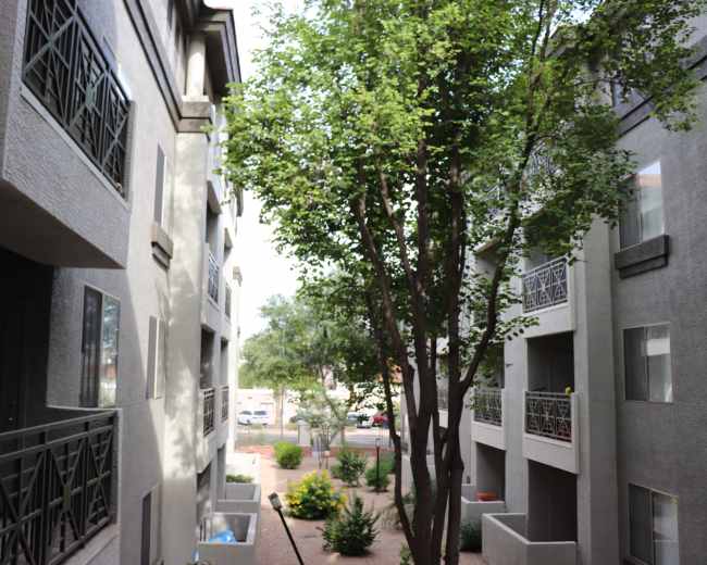 The image shows a courtyard view between two apartment buildings with a tree and landscaping.