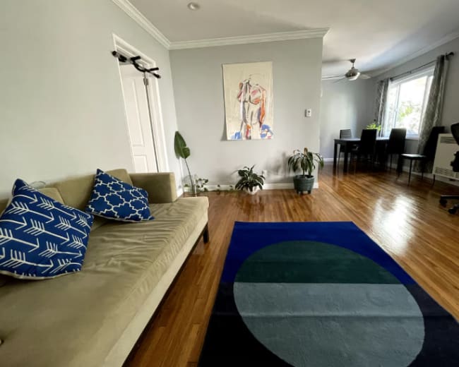A living room features a light gray wall, a beige sofa with decorative pillows, plants, a colorful area rug, and a dining area with a table and chairs.