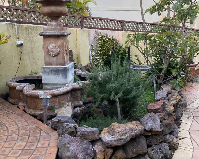 The image shows a stone-bordered garden area featuring a decorative fountain surrounded by greenery and tropical plants.