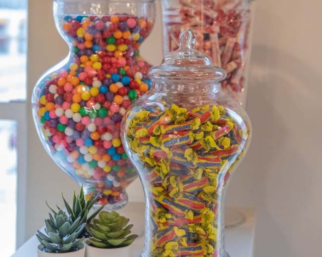 Three glass jars filled with colorful candies are displayed on a shelf beside small potted succulents.