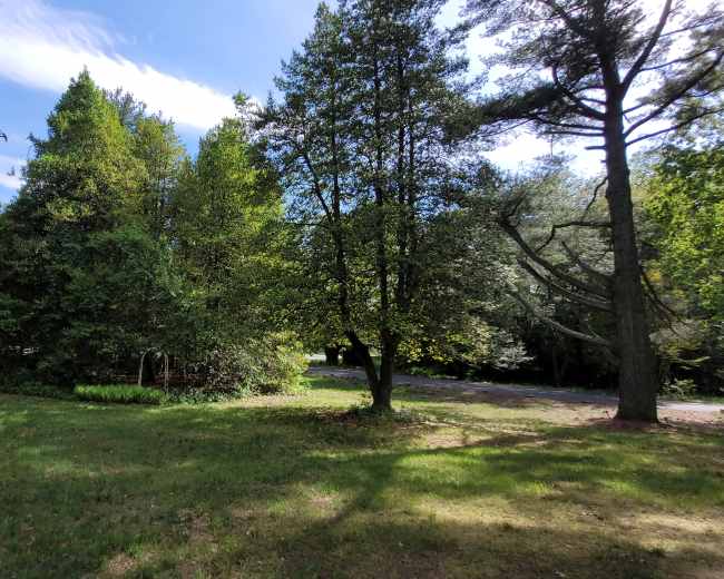 A grassy area with several trees and a road in the background under a partly cloudy sky.