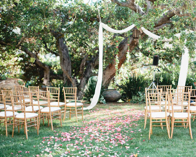 A wedding ceremony setup featuring gold chairs arranged in two semicircles on grass, with a fabric draped arch and rose petals scattered on the ground beneath a tree.