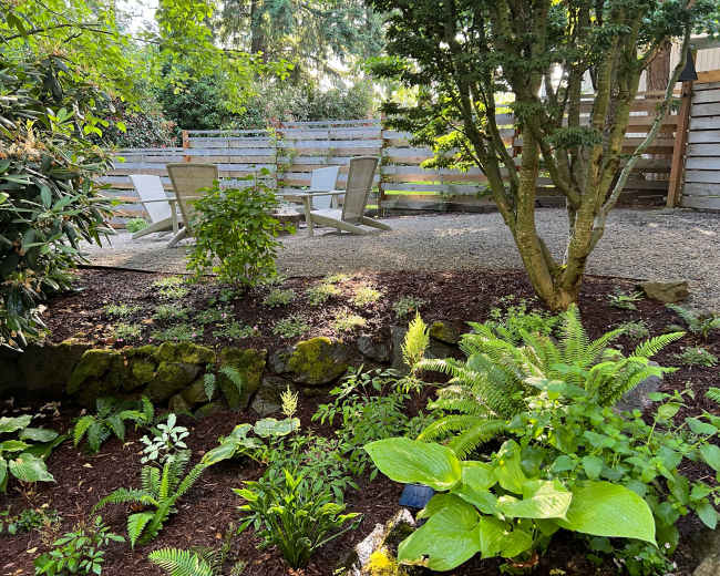A landscaped garden features a gravel seating area with two wooden chairs surrounded by various plants and shrubs.