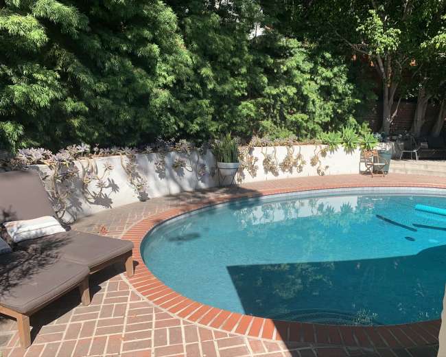 The image shows a curved swimming pool surrounded by brick paving and shaded by lush greenery.