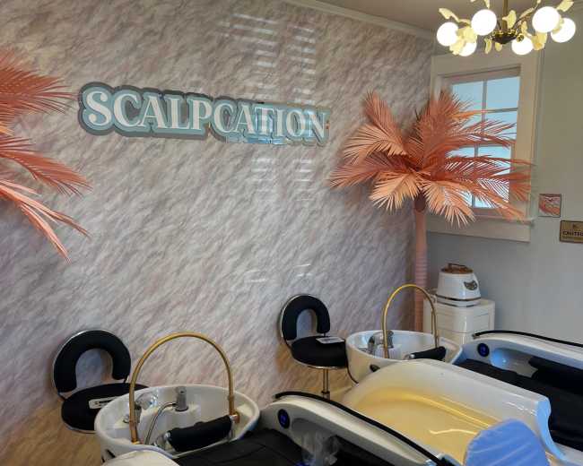 The interior of a salon features several salon chairs with gold accents, surrounded by pastel pink palm trees and a decorative wall displaying the word "SCALPCATION."
