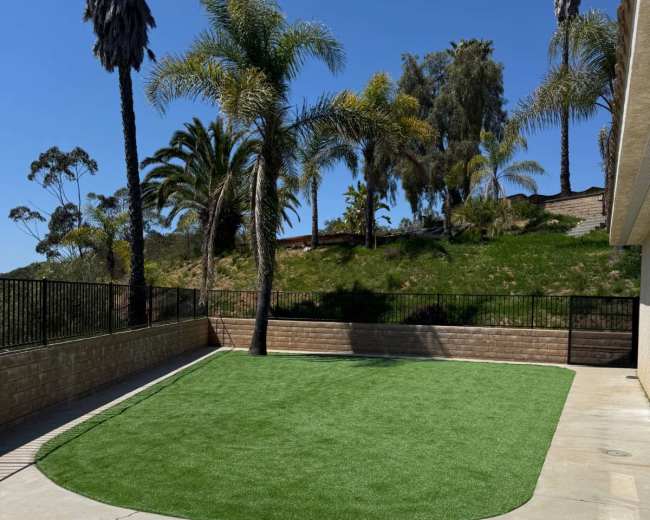 The image shows a landscaped area with artificial grass surrounded by palm trees and a paved concrete surface.