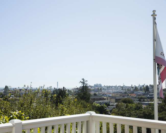 The image shows a clear view of a city landscape with buildings and trees, along with flags visible in the foreground.