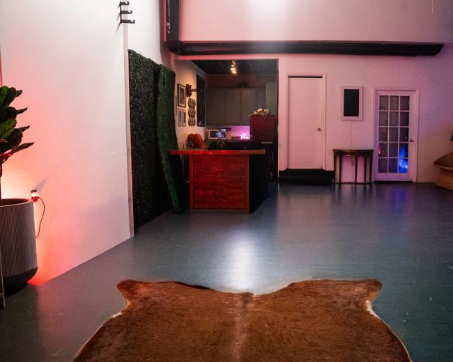 The image shows a spacious interior with a dark green floor, featuring a kitchen area, a large decorative mirror, framed photos on the walls, and a cowhide rug in the foreground.