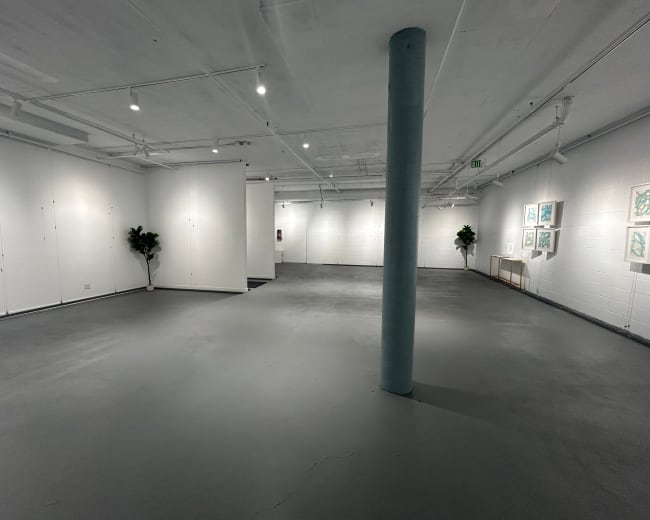 The image shows a spacious, empty art gallery with white walls, a concrete floor, and a few decorative plants in the corners.