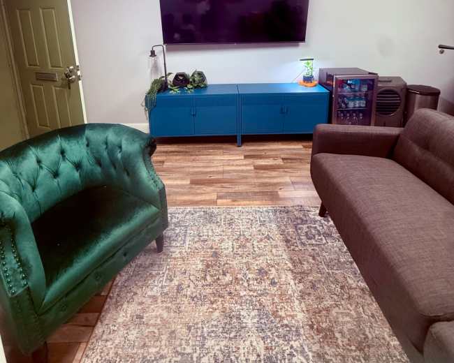 The image shows a living room with a green armchair, a brown sofa, a blue TV stand beneath a large flat-screen television, and wooden flooring.