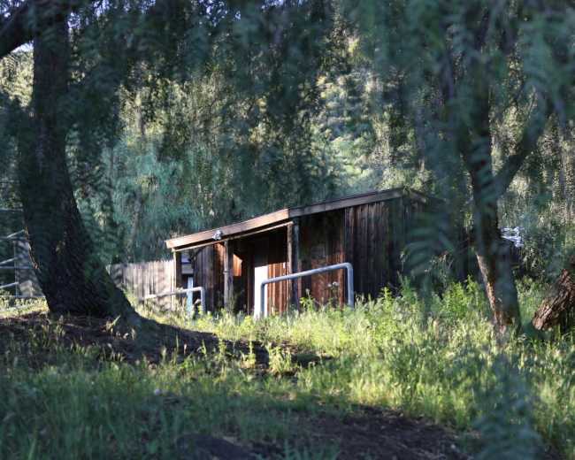 A small wooden cabin is nestled among trees in a grassy area.