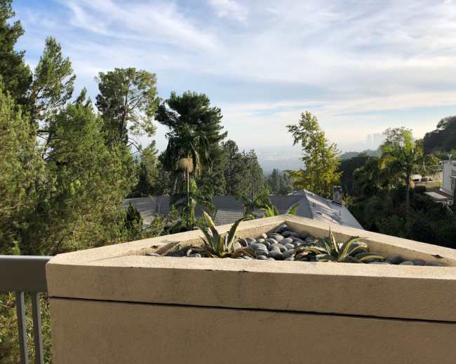 The image shows a balcony planter filled with rocks and plants, overlooking a city skyline surrounded by trees.