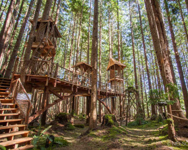 The image depicts a wooden treehouse structure elevated among tall trees in a forest setting, with stairs leading up to it.