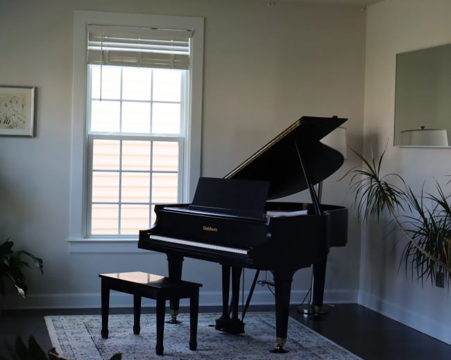 A black grand piano is positioned in a bright room next to a tall window, accompanied by a small bench and surrounded by decorative plants.
