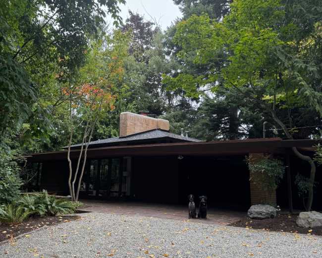 A modern house with a gravel driveway is surrounded by trees and foliage, with two dogs standing in front of the entrance.