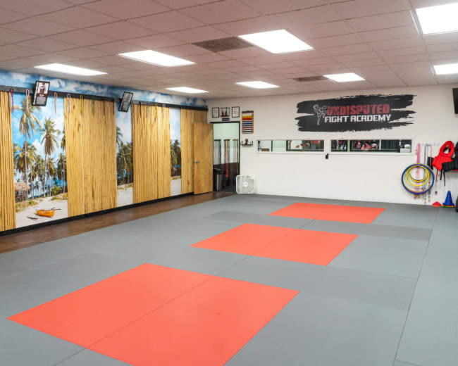 The image shows an empty martial arts training room with gray and red mats, bamboo wall decorations, and a tropical beach mural in the background.