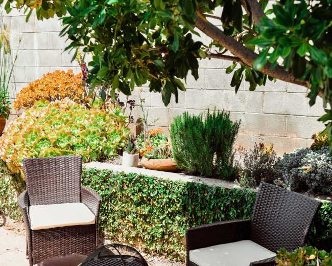 The image shows a small outdoor space with two wicker chairs, a fire pit, and landscaped greenery against a concrete wall.