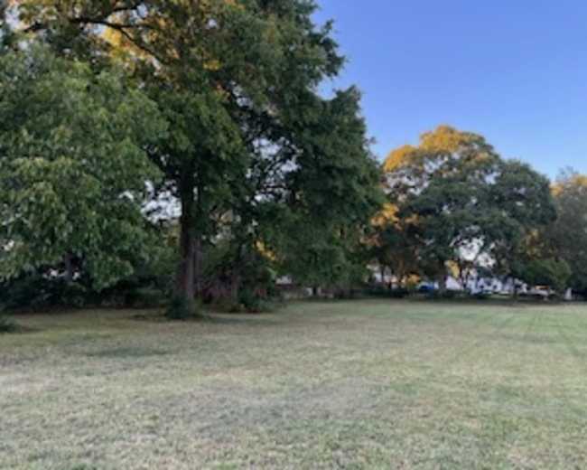 The image shows a grassy field with several large trees under a clear blue sky.