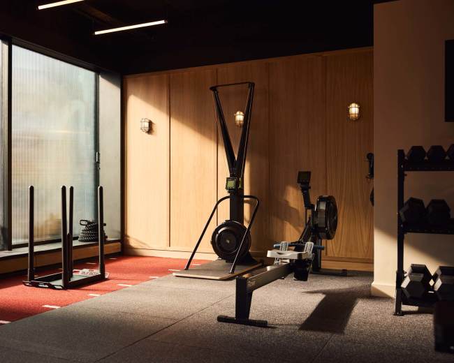 The image shows a modern gym interior with fitness equipment including a rowing machine, a sled push, and dumbbells arranged on a rack, bathed in natural light from large windows.