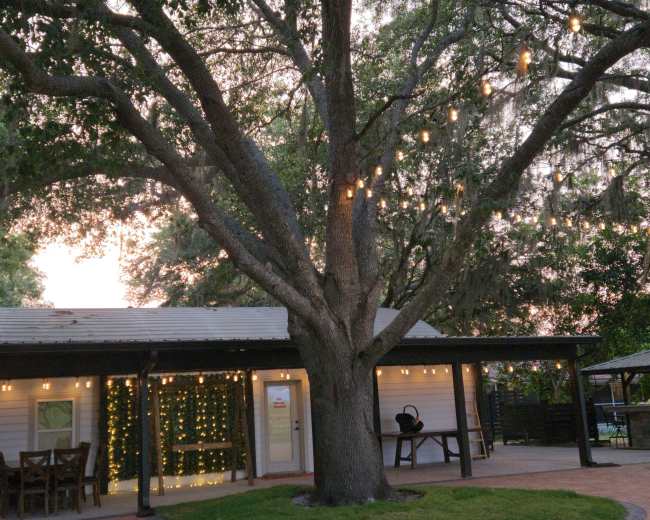 A large tree with string lights is situated next to a building, creating a warm atmosphere in a landscaped area.