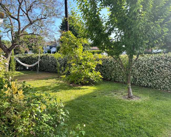 The image shows a green garden with neatly trimmed hedges, a hammock hanging between trees, and patches of sunlight on the grass.