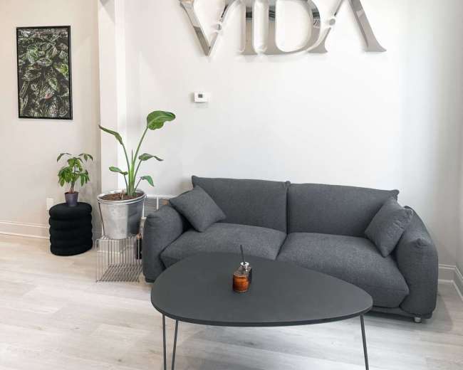 A modern living room features a gray sofa, a round black coffee table, and a decorative plant next to a metallic wall sign that reads "VIDA."