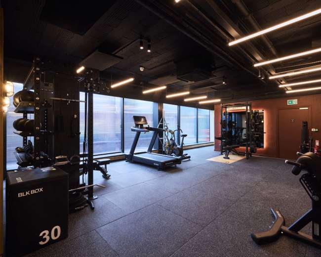 The image shows a modern gym interior equipped with various fitness machines, weights, and large windows allowing natural light to enter.
