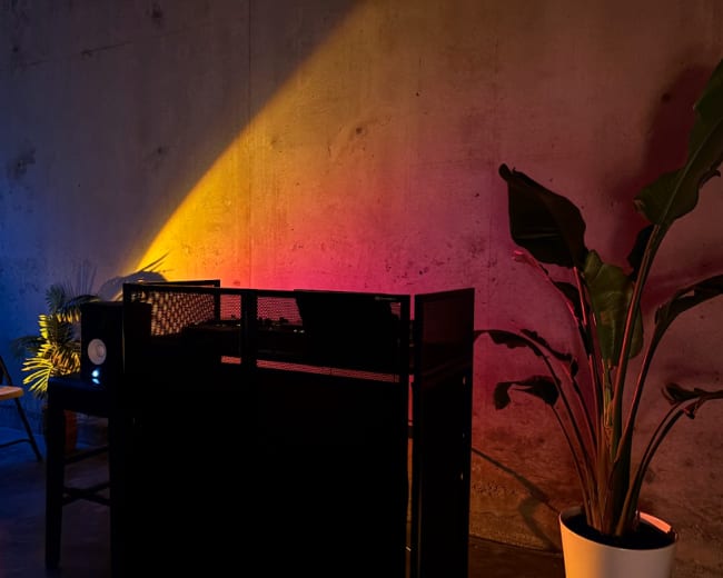 A black DJ booth is illuminated by colored light against a concrete wall, accompanied by a large potted plant and a small audio monitor on a nearby table.