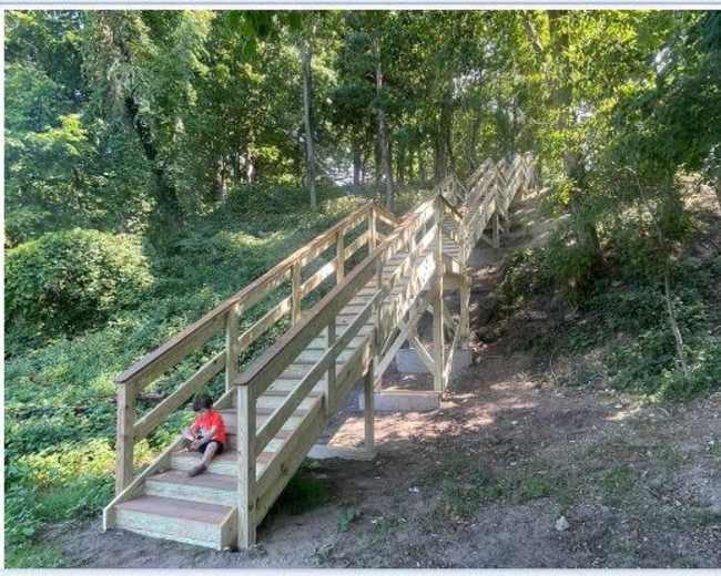 A child sits at the bottom of a wooden staircase that ascends through a wooded area.