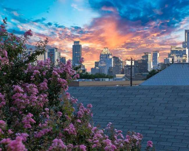 The image shows a vibrant city skyline at sunset, with colorful clouds and blooming flowers in the foreground.