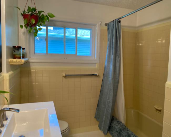 The image shows a compact bathroom featuring a shower area with a blue curtain, a white sink, and a window with a potted plant above it.