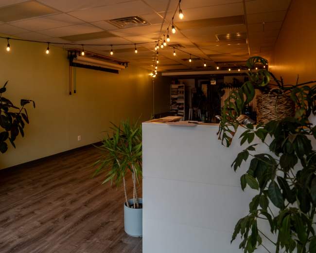The image shows a spacious, well-lit interior with a reception desk, green walls, and several potted plants.